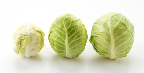 Fototapeta premium Fresh cabbage