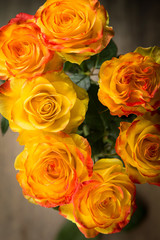 beauty roses in studio