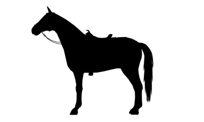 Horse silhouette