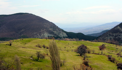 Obraz premium Landscape from Bulgaria