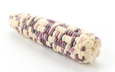 Waxy corn