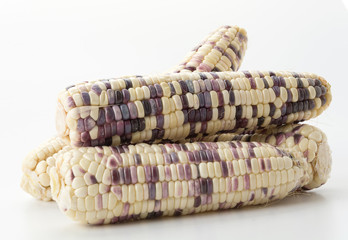 Waxy corn