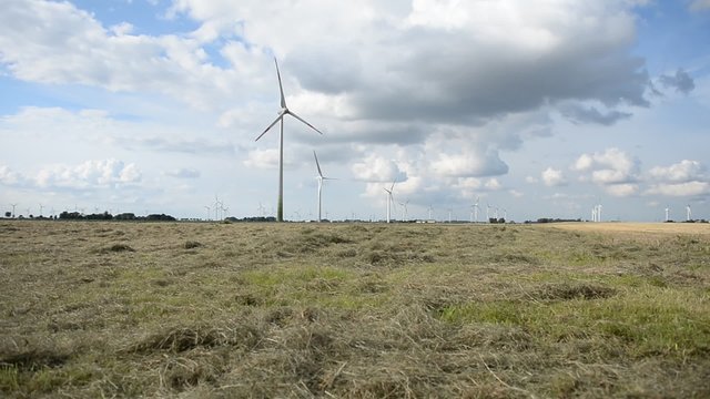 Windr&auml;derlandschaft bei Koog