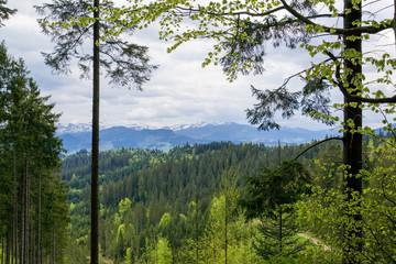 Panoramic views of the beautiful landscape in the Carpathian mountains