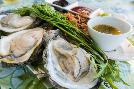 Oyster