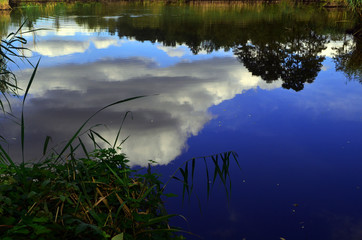 staw  © wedrownik52