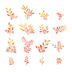 Set of autumn plant elements. Bouquets, kits, ornaments of grass, twigs, leaves and berries. Simple style. Hand drawn. Vector