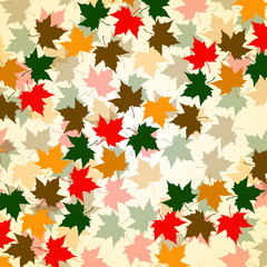 Autumn background of maple leaves