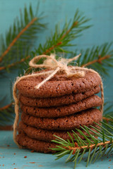 chocolate chip cookies, fir branch