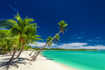 Beach with palm trees over the lagoon on Fiji Islands