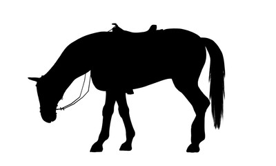 Horse silhouette