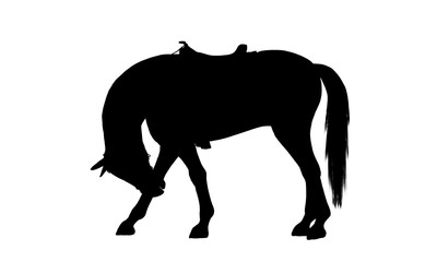 Horse silhouette