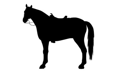 Horse silhouette
