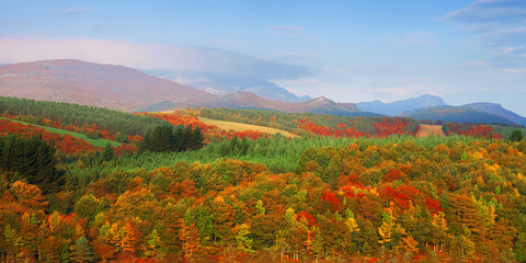 autumnal colors in Gorbea