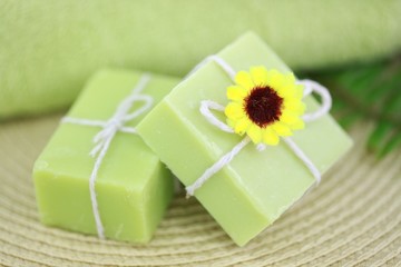 Spa treatment setting with green theme
