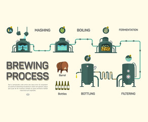 Beer brewing process infographic. Flat style.