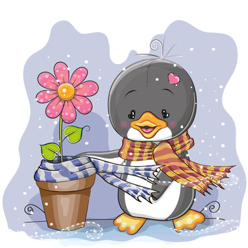 Penguin and a flower