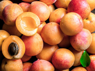 apricots. fruit