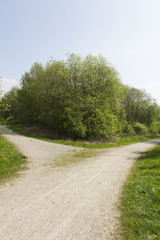 A fork in the path leading through the trees. A place where a decision has to be made.