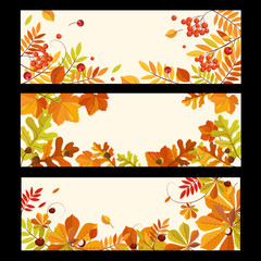 Naklejka na ściany i meble Autumn Banners with Berries and Leaves, Vector Illustration