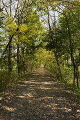 pista ciclabile