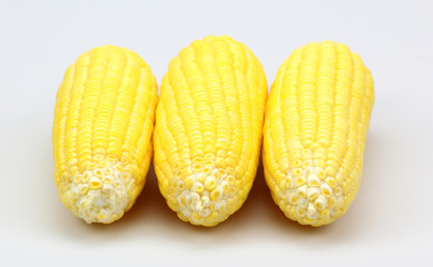ears of sweet corn isolated on white background