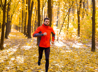 Young Man Running on Sunny Trail in the Beautiful Autumn Oak Forest