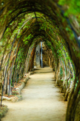 Obraz premium Park Guell Tunnel, Barcelona Spain