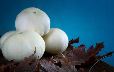 small white pumpkin and dry leaves