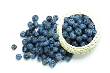Blueberry isolated