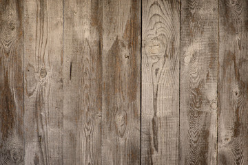 Texture of old vintage bark wood use as natural background