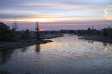 Fototapeta premium Sunrise on mystical 8,000 year old Kemeri swamp in the morning mist. Kemeri, Latvia.