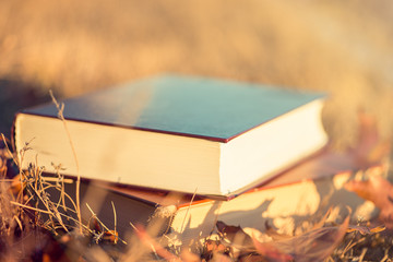 Two autumn book