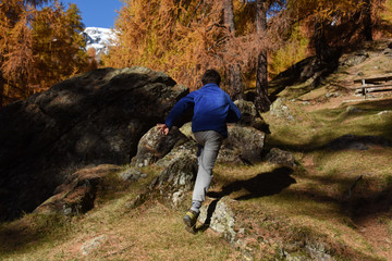 Obraz premium camminare nel bosco escursione gita giocare 