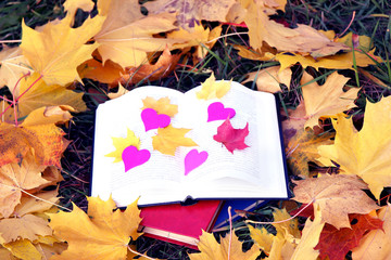 Open book in autumn leaves. Knowledge is power. Education. Enlightenment. Love