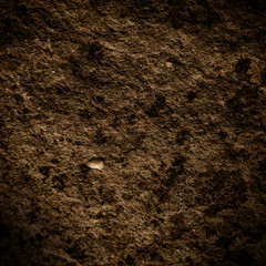 soil texture