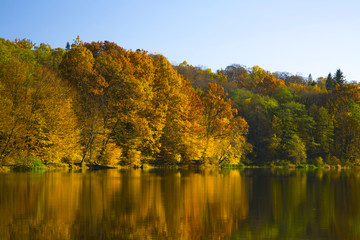 Fototapeta na wymiar Autumn forest on a pond 