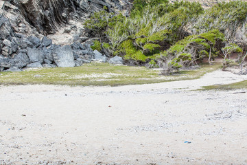 plage de Trou d'Argent, île Rodrigues 