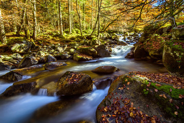 la fruitière à cauterets