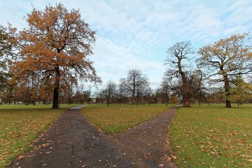 Fototapeta na wymiar The Kensington Gardens and Hide Park, London, UK during autumn