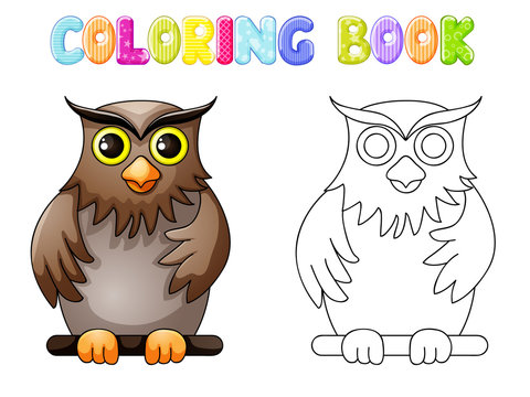 Coloring cute owl