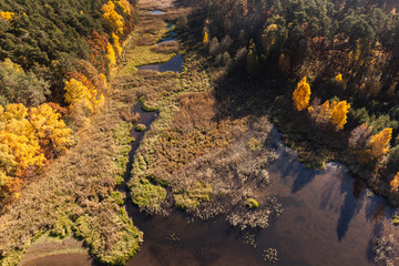  autumn, Aerial view of autumn forest
