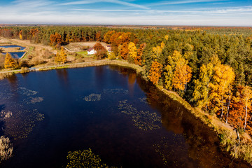  autumn, Aerial view of autumn forest
