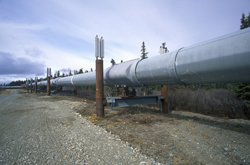 Trans-Alaska Pipeline at Route 4, near Paxson, AK