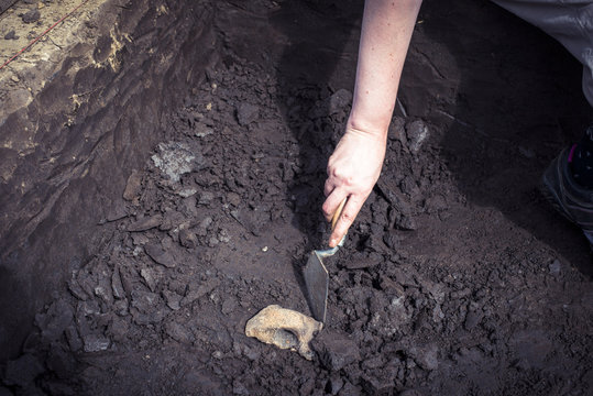 archaeologische Ausgrabung