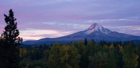 Mt. Hood Volcanic Mountain Cascade Range Oregon Territory - obrazy, fototapety, plakaty