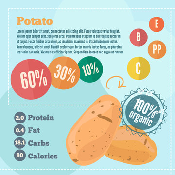 Potato infographics and vitamins in a flat style. Vector illustration. EPS 10