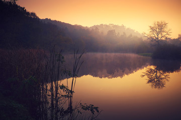 Misty autumn morning lake
