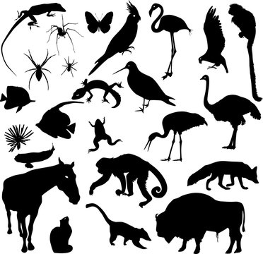 Set of animal silhouettes