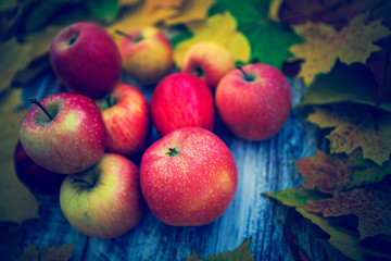 apple with leaves